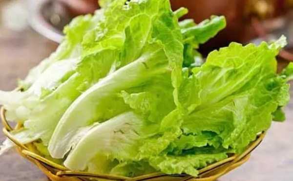 挂生菜 在哪里(挂生菜 在哪里挂好)-第2张图片-厨房小当家 挂生菜 在哪里(挂生菜 在哪里挂好)-第2张图片-厨房小当家