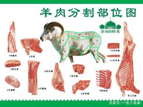 羊哪里肉瘦(羊哪个部位瘦肉多)-第2张图片-厨房小当家 羊哪里肉瘦(羊哪个部位瘦肉多)-第2张图片-厨房小当家