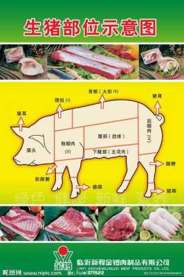 颈背肉是什么地方的肉,颈背肉是哪里的肉-第1张图片-厨房小当家 颈背肉是什么地方的肉,颈背肉是哪里的肉-第1张图片-厨房小当家