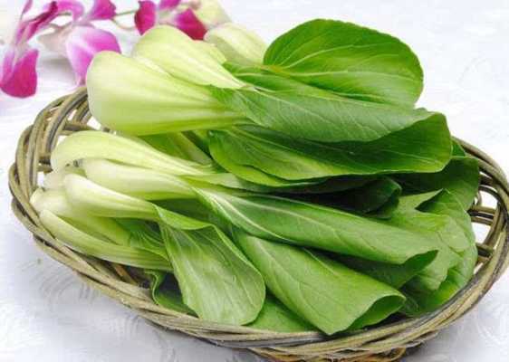 菠菜哪里的好(菠菜哪里的好吃又营养)-第2张图片-厨房小当家 菠菜哪里的好(菠菜哪里的好吃又营养)-第2张图片-厨房小当家