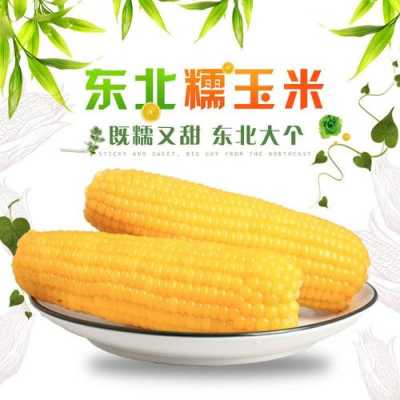 东北哪个地方产的玉米最好,东北哪里玉米最好吃-第2张图片-厨房小当家 东北哪个地方产的玉米最好,东北哪里玉米最好吃-第2张图片-厨房小当家