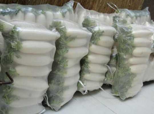 湖北基地白萝卜品种,湖北萝卜哪里有卖的-第3张图片-厨房小当家