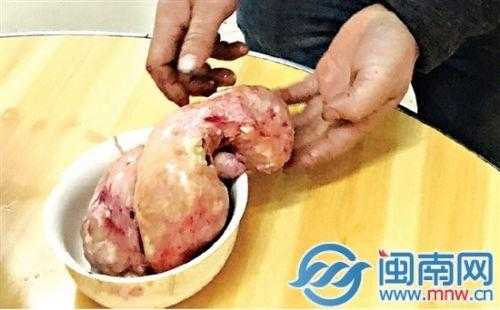 鸡球在哪里(鸡腹部有肉球是什么东西)-第2张图片-厨房小当家 鸡球在哪里(鸡腹部有肉球是什么东西)-第2张图片-厨房小当家