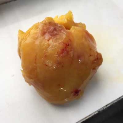 鸡球在哪里(鸡腹部有肉球是什么东西)-第1张图片-厨房小当家 鸡球在哪里(鸡腹部有肉球是什么东西)-第1张图片-厨房小当家