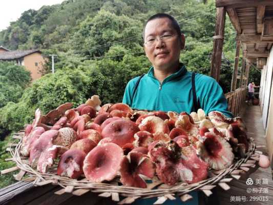 红蘑哪里好（野生菌第一大省）-第3张图片-厨房小当家