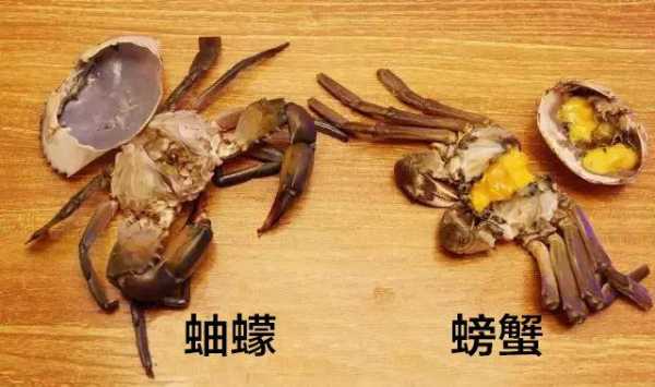 螃蟹吃什么肉,螃蟹吃哪里肉多-第2张图片-厨房小当家
