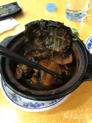 南昌哪里甲鱼好吃(南昌哪里甲鱼好吃?)-第3张图片-厨房小当家 南昌哪里甲鱼好吃(南昌哪里甲鱼好吃?)-第3张图片-厨房小当家