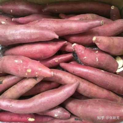 哪里的番薯最甜(哪里的番薯最甜最好吃)-第2张图片-厨房小当家 哪里的番薯最甜(哪里的番薯最甜最好吃)-第2张图片-厨房小当家