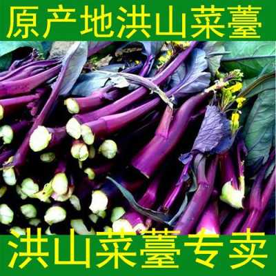 宁波哪里有菜苔(宁波哪里有菜苔卖)-第1张图片-厨房小当家 宁波哪里有菜苔(宁波哪里有菜苔卖)-第1张图片-厨房小当家