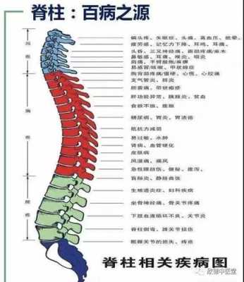 龙脊骨在哪里（龙有脊椎吗）-第2张图片-厨房小当家