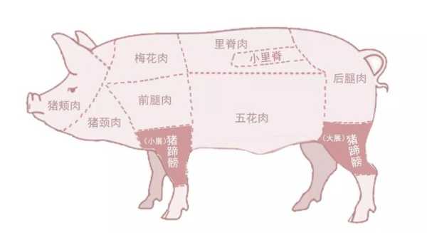 猪展在哪里(猪展是哪里)-第1张图片-厨房小当家 猪展在哪里(猪展是哪里)-第1张图片-厨房小当家