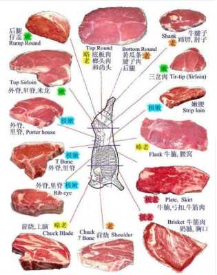 胸脯肉指哪里(前胸肉和后胸肉的区别)-第1张图片-厨房小当家 胸脯肉指哪里(前胸肉和后胸肉的区别)-第1张图片-厨房小当家