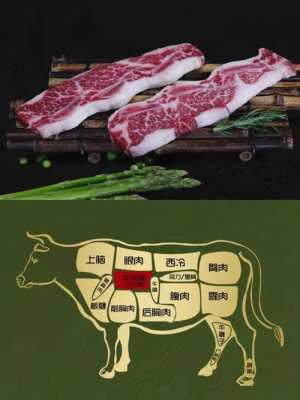 胸脯肉指哪里(前胸肉和后胸肉的区别)-第3张图片-厨房小当家 胸脯肉指哪里(前胸肉和后胸肉的区别)-第3张图片-厨房小当家
