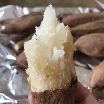 哪里的白薯甜（哪里的红薯最甜）-第2张图片-厨房小当家