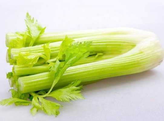 芹菜可吃部分是哪里,西芹吃什么部位-第1张图片-厨房小当家 芹菜可吃部分是哪里,西芹吃什么部位-第1张图片-厨房小当家
