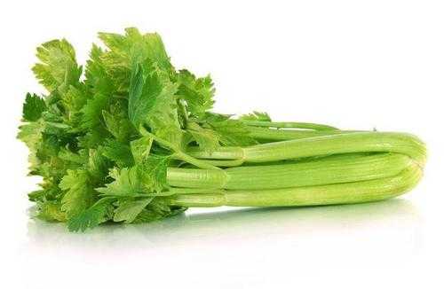 芹菜可吃部分是哪里,西芹吃什么部位-第3张图片-厨房小当家 芹菜可吃部分是哪里,西芹吃什么部位-第3张图片-厨房小当家