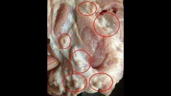 羊肉的淋巴部位有哪些,羊肉哪里有肥肉卖-第1张图片-厨房小当家 羊肉的淋巴部位有哪些,羊肉哪里有肥肉卖-第1张图片-厨房小当家
