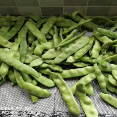 冬天豆角冷冻方法,哪里有速冻豆角卖啊-第2张图片-厨房小当家 冬天豆角冷冻方法,哪里有速冻豆角卖啊-第2张图片-厨房小当家
