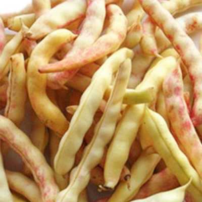 冬天豆角冷冻方法,哪里有速冻豆角卖啊-第3张图片-厨房小当家 冬天豆角冷冻方法,哪里有速冻豆角卖啊-第3张图片-厨房小当家