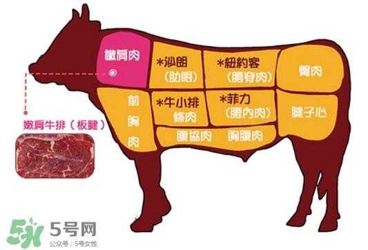 后座肉是哪里(牛后座肉是哪个部位)-第2张图片-厨房小当家 后座肉是哪里(牛后座肉是哪个部位)-第2张图片-厨房小当家