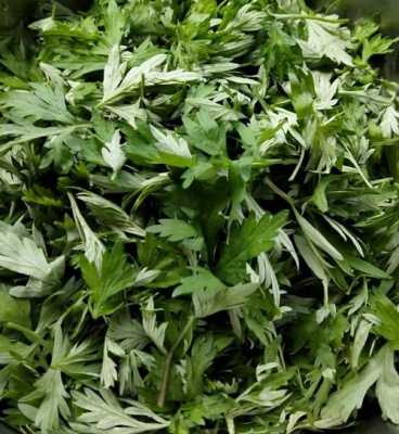 沈阳艾蒿哪里有(沈阳艾蒿哪里有卖的)-第1张图片-厨房小当家 沈阳艾蒿哪里有(沈阳艾蒿哪里有卖的)-第1张图片-厨房小当家