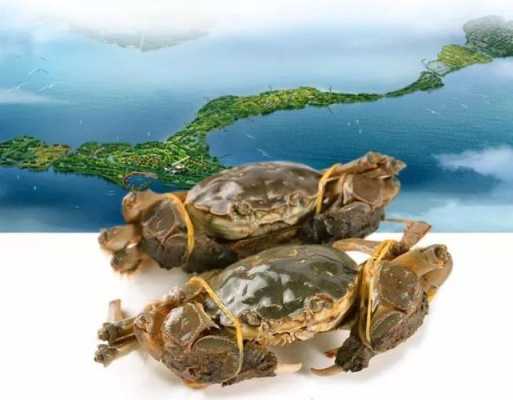 崇明哪里买大闸蟹(崇明哪里买大闸蟹便宜)-第2张图片-厨房小当家 崇明哪里买大闸蟹(崇明哪里买大闸蟹便宜)-第2张图片-厨房小当家
