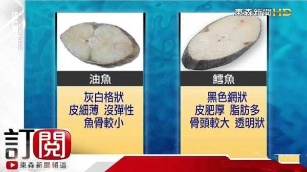 鱼皮青是什么,鱼皮青是哪个部位的肉-第2张图片-厨房小当家 鱼皮青是什么,鱼皮青是哪个部位的肉-第2张图片-厨房小当家