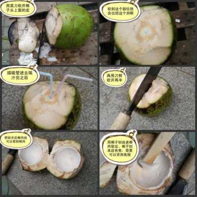 自己开椰子方法,从哪里打开椰子最好-第1张图片-厨房小当家 自己开椰子方法,从哪里打开椰子最好-第1张图片-厨房小当家