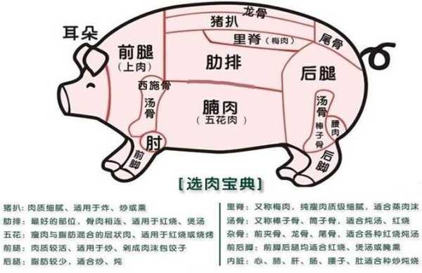 猪肉排是哪里(五花肉位于猪身体的哪个部位呢)-第1张图片-厨房小当家 猪肉排是哪里(五花肉位于猪身体的哪个部位呢)-第1张图片-厨房小当家