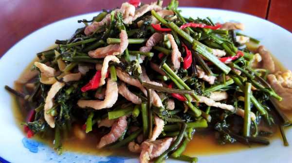 哪里的蕨菜最好(伊豆野菜村和温野菜哪个好吃)-第1张图片-厨房小当家 哪里的蕨菜最好(伊豆野菜村和温野菜哪个好吃)-第1张图片-厨房小当家
