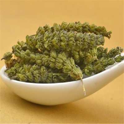 荆芥叶哪里有(荆芥叶哪里有卖的)-第2张图片-厨房小当家 荆芥叶哪里有(荆芥叶哪里有卖的)-第2张图片-厨房小当家