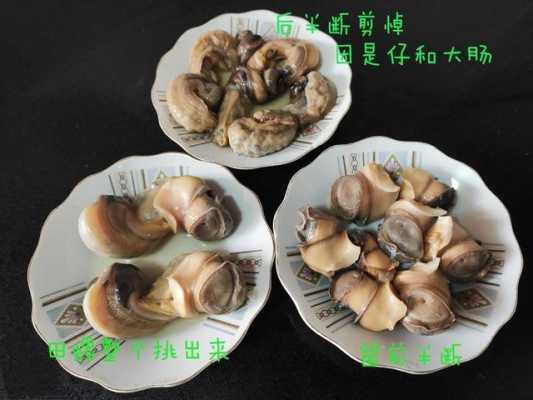 田螺吃哪里图解(田螺吃哪里图解)-第1张图片-厨房小当家 田螺吃哪里图解(田螺吃哪里图解)-第1张图片-厨房小当家