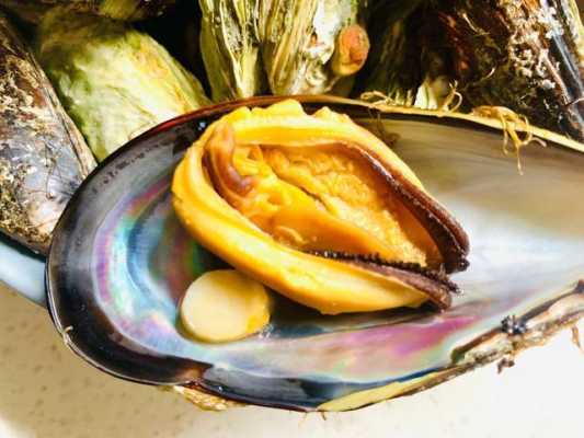 鲍鱼从哪里调(鲍鱼从哪里调味)-第2张图片-厨房小当家 鲍鱼从哪里调(鲍鱼从哪里调味)-第2张图片-厨房小当家