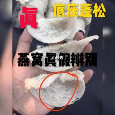 哪里有假冒燕窝(哪里能买到正宗的燕窝)-第1张图片-厨房小当家 哪里有假冒燕窝(哪里能买到正宗的燕窝)-第1张图片-厨房小当家