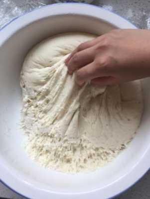 发面可以放冰箱吗,发面放在哪里发的快-第2张图片-厨房小当家 发面可以放冰箱吗,发面放在哪里发的快-第2张图片-厨房小当家
