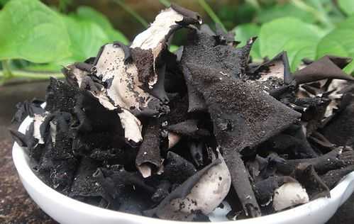 石耳哪里最好(石木耳怎么洗才干净)-第3张图片-厨房小当家 石耳哪里最好(石木耳怎么洗才干净)-第3张图片-厨房小当家