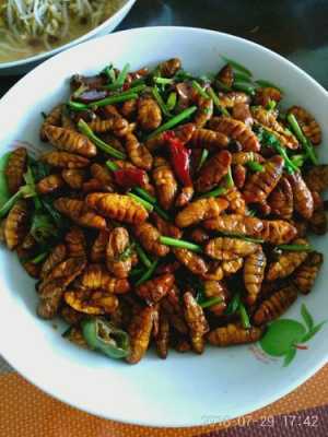 蚕蛹哪里的菜(蚕蛹哪里的菜好吃)-第3张图片-厨房小当家 蚕蛹哪里的菜(蚕蛹哪里的菜好吃)-第3张图片-厨房小当家