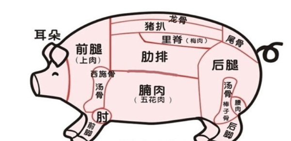 猪绞肉是哪里(猪三叉骨是指哪个部位)-第2张图片-厨房小当家 猪绞肉是哪里(猪三叉骨是指哪个部位)-第2张图片-厨房小当家