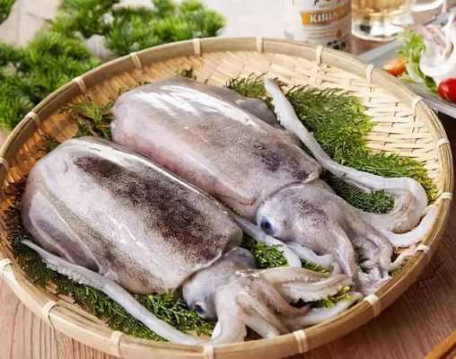 墨鱼产哪里好吃（墨鱼产哪里好吃呢）-第3张图片-厨房小当家