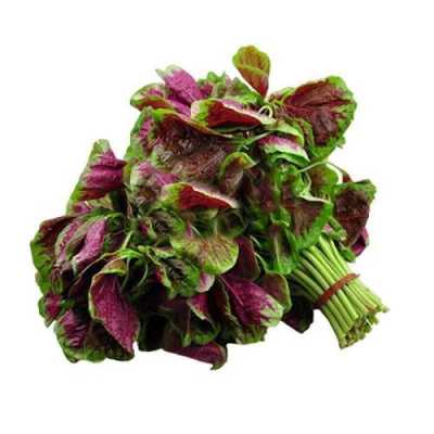 红蔊菜哪里有(红菜哪里有卖)-第1张图片-厨房小当家 红蔊菜哪里有(红菜哪里有卖)-第1张图片-厨房小当家