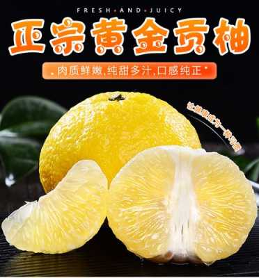 冰糖柚产自哪里(黄金贡柚产地是哪里)-第2张图片-厨房小当家 冰糖柚产自哪里(黄金贡柚产地是哪里)-第2张图片-厨房小当家