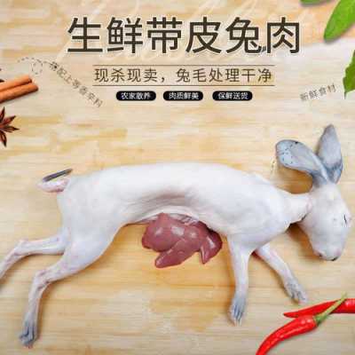 兔子杀哪里最好(杀兔子放血不放血的区别)-第1张图片-厨房小当家 兔子杀哪里最好(杀兔子放血不放血的区别)-第1张图片-厨房小当家