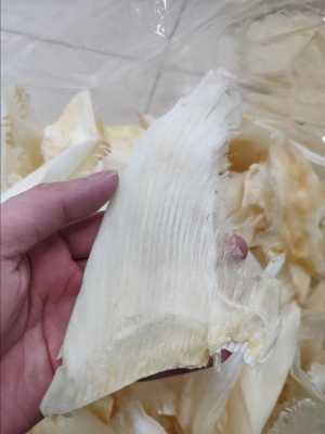 青翅哪里收(翅参是什么)-第2张图片-厨房小当家 青翅哪里收(翅参是什么)-第2张图片-厨房小当家