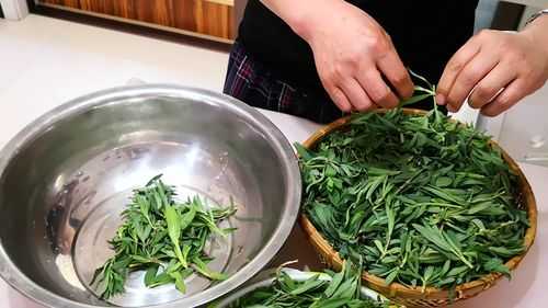 菜字组词有哪些,哪里有金菜根卖啊-第3张图片-厨房小当家 菜字组词有哪些,哪里有金菜根卖啊-第3张图片-厨房小当家