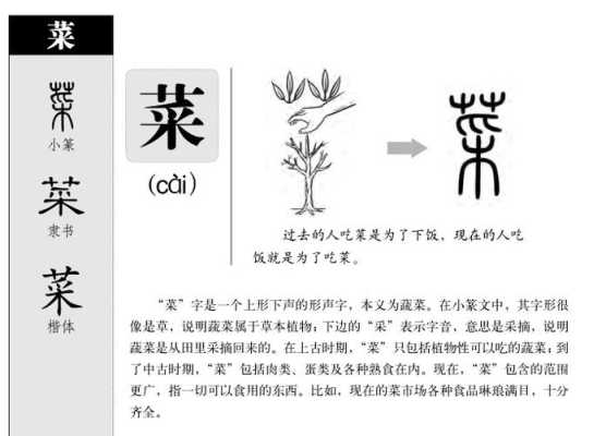 菜字组词有哪些,哪里有金菜根卖啊-第1张图片-厨房小当家 菜字组词有哪些,哪里有金菜根卖啊-第1张图片-厨房小当家