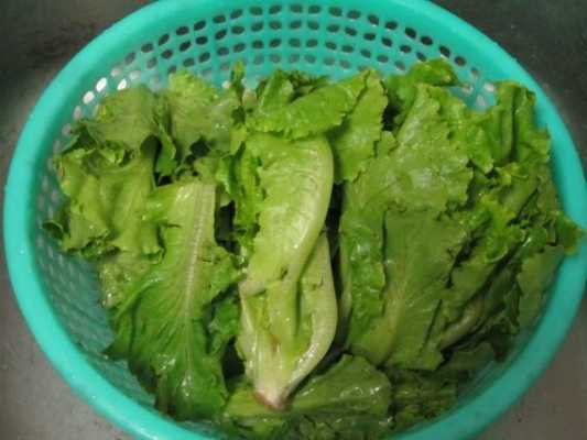 玻璃生菜哪里买(凉拌玻璃脆生菜的做法)-第1张图片-厨房小当家 玻璃生菜哪里买(凉拌玻璃脆生菜的做法)-第1张图片-厨房小当家