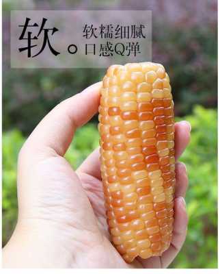 哪里用玉米漏（糯玉米保养一定要去4s店吗）-第3张图片-厨房小当家