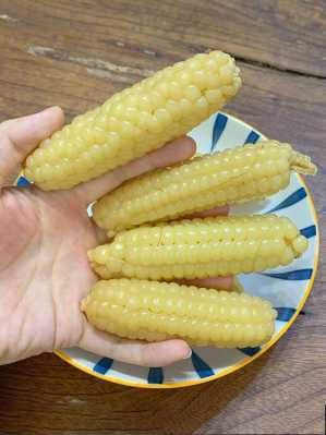 哪里用玉米漏（糯玉米保养一定要去4s店吗）-第2张图片-厨房小当家