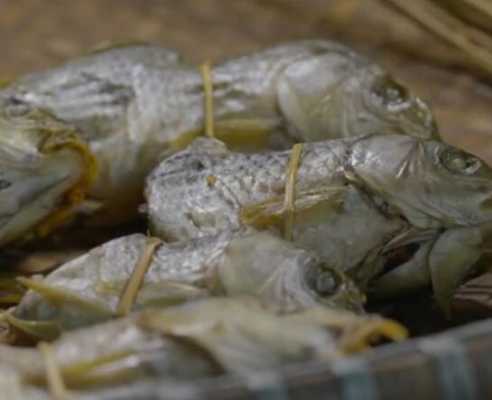 糯米鱼的做法,糯米鱼怎么做好吃,糯米鱼的家常,糯米鱼哪里买便宜-第3张图片-厨房小当家 糯米鱼的做法,糯米鱼怎么做好吃,糯米鱼的家常,糯米鱼哪里买便宜-第3张图片-厨房小当家