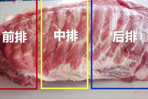 猪排骨位于哪里(排骨最好的位置是哪里)-第1张图片-厨房小当家 猪排骨位于哪里(排骨最好的位置是哪里)-第1张图片-厨房小当家